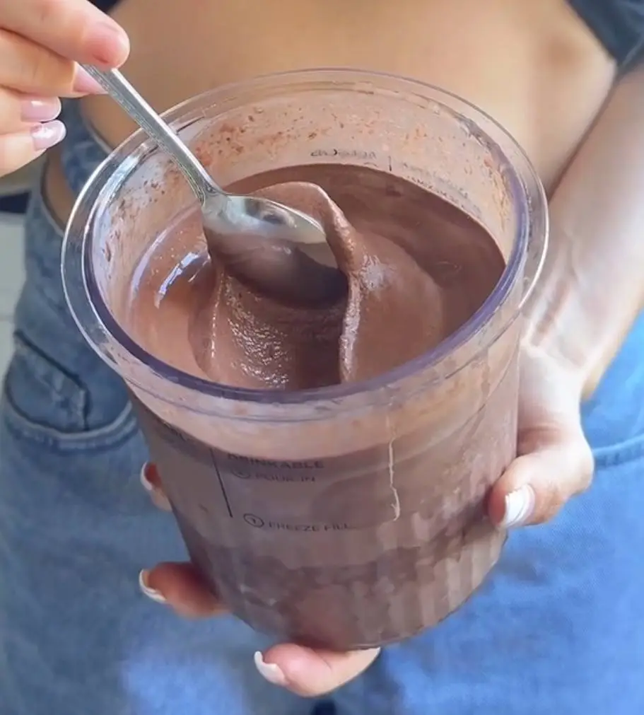 GELATO PROTEICO VEGAN AL CIOCCOLATO